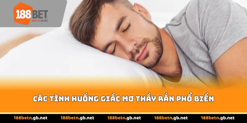 Các tình huống giấc mơ thấy rắn phổ biến