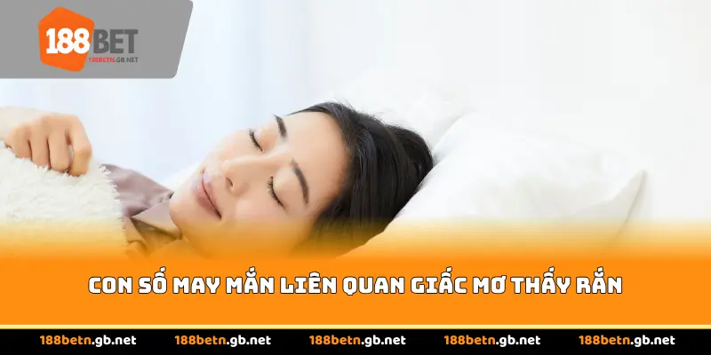 Con số may mắn liên quan giấc mơ thấy rắn