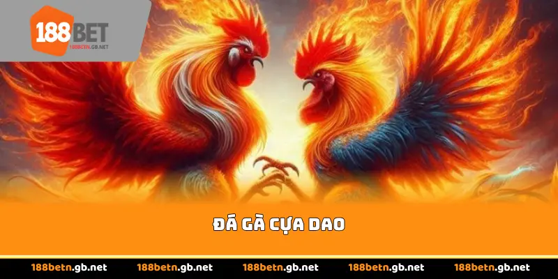Đá Gà Cựa Dao