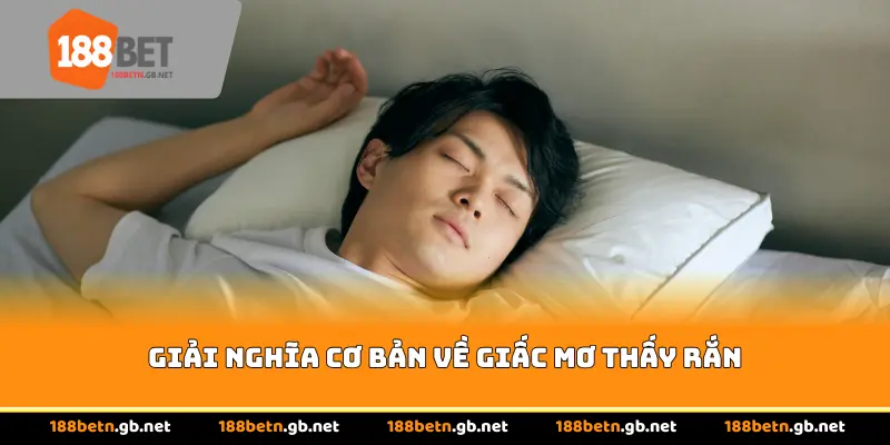 Giải nghĩa cơ bản về giấc mơ thấy rắn