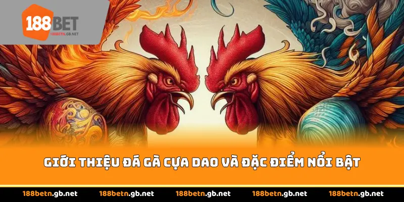 Giới thiệu đá gà cựa dao và đặc điểm nổi bật