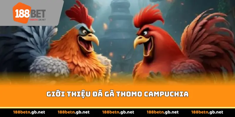 Giới thiệu đá gà Thomo Campuchia