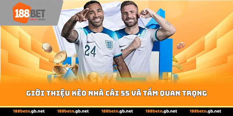 Giới thiệu Kèo Nhà Cái 55 và tầm quan trọng