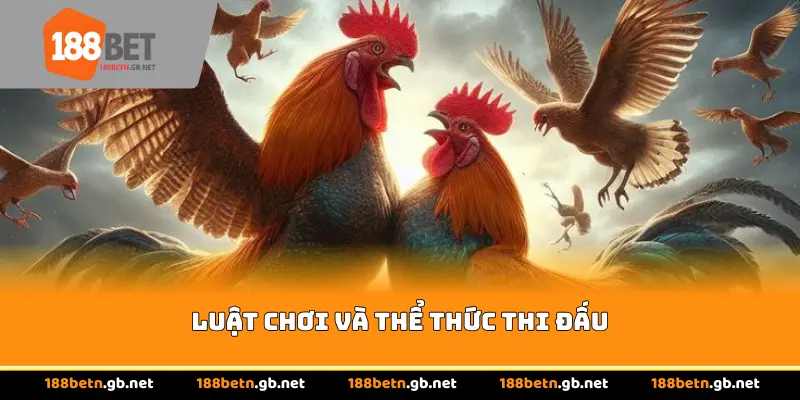 Luật chơi và thể thức thi đấu